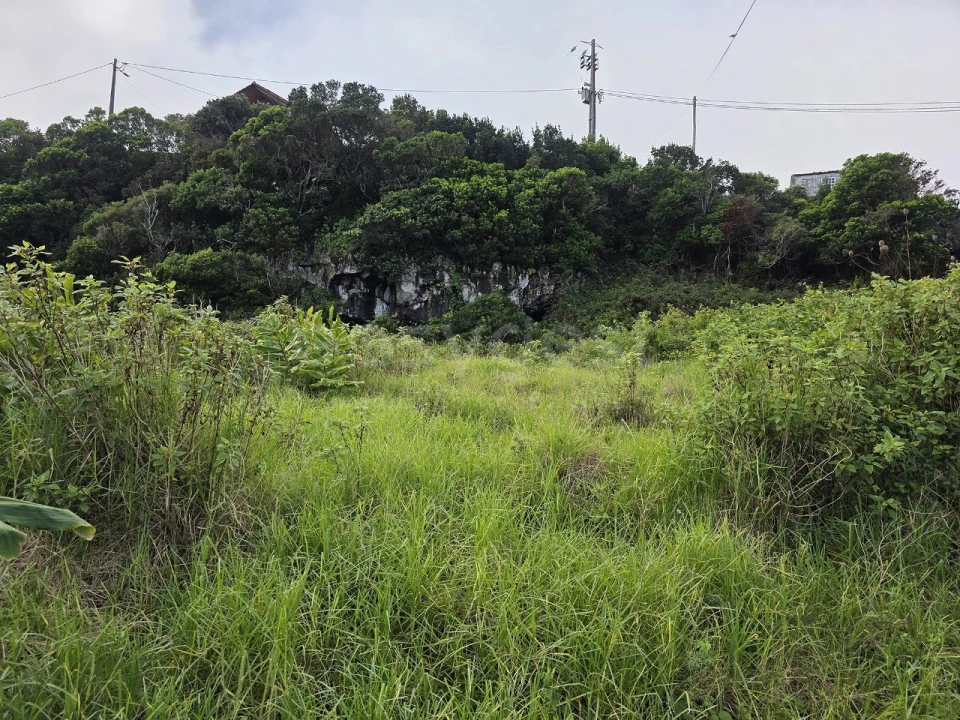 Terreno para Venda em Piedade Foto 14