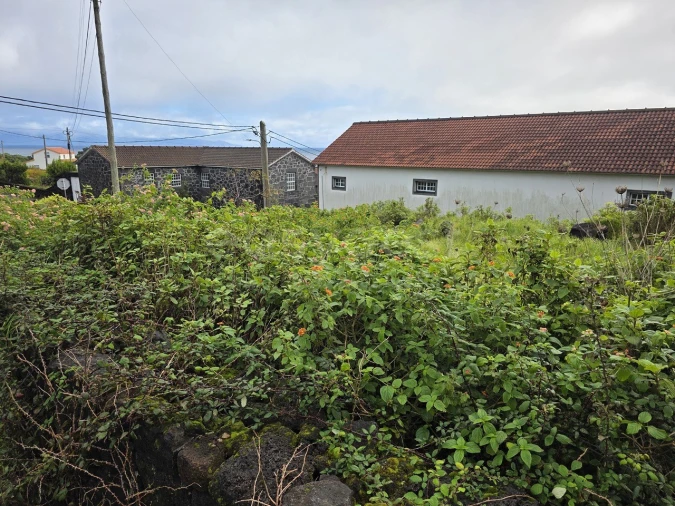 Terreno para Venda em Piedade Foto 10