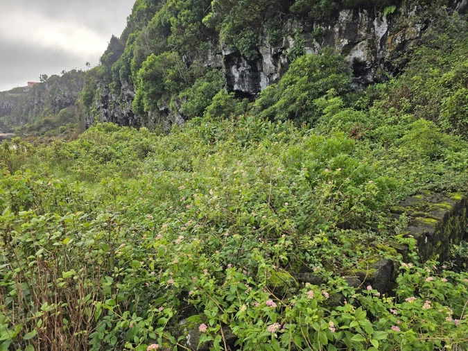 Terreno para Venda em Piedade Foto 11
