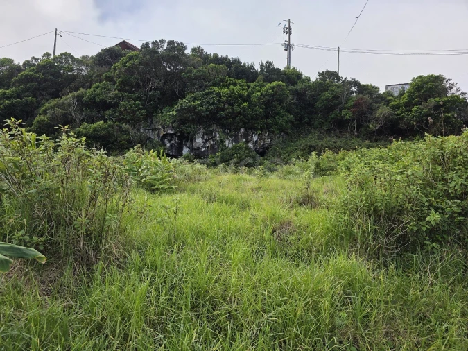 Terreno para Venda em Piedade Foto 14