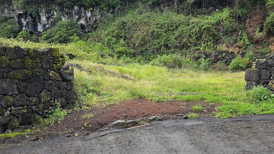 Terreno para Venda em Piedade