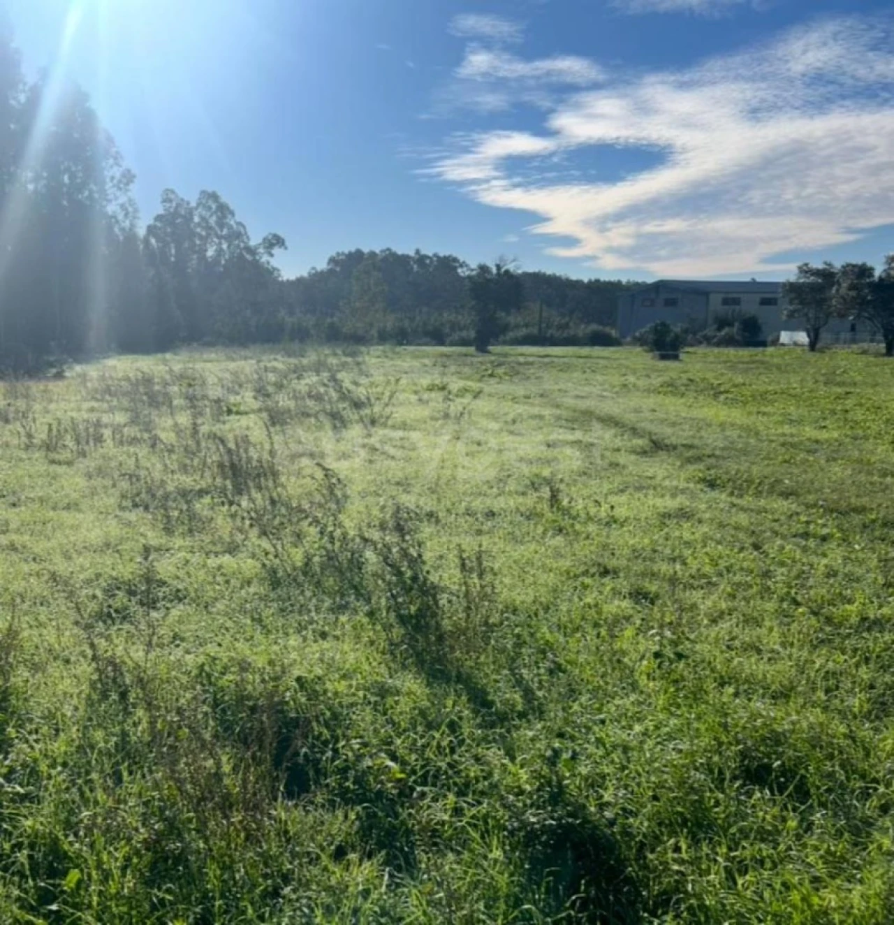 Terreno para Venda em Souto da Carpalhosa e Ortigosa Foto 6