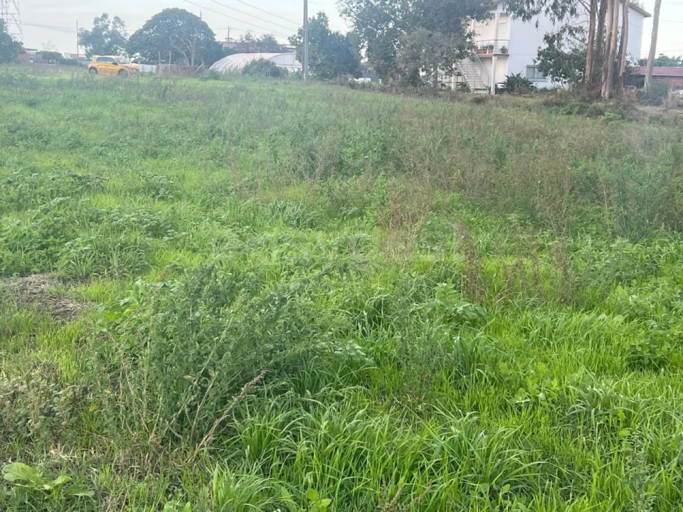 Terreno para Venda em Souto da Carpalhosa e Ortigosa Foto 10