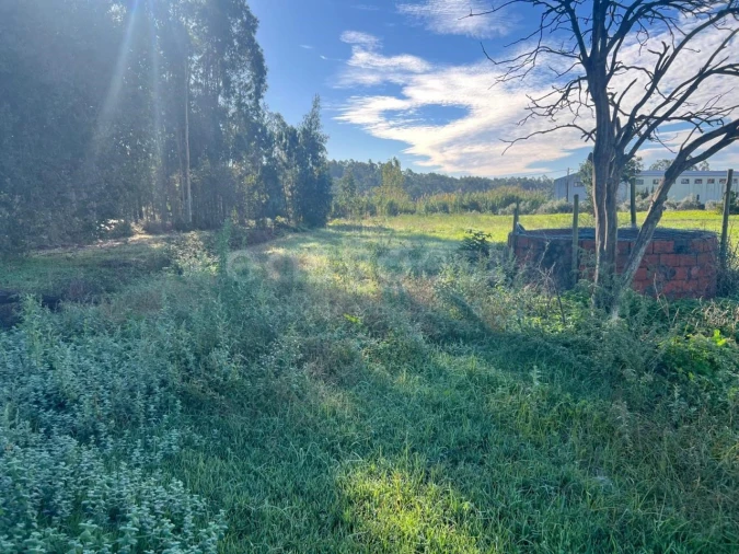 Terreno para Venda em Souto da Carpalhosa e Ortigosa Foto 1