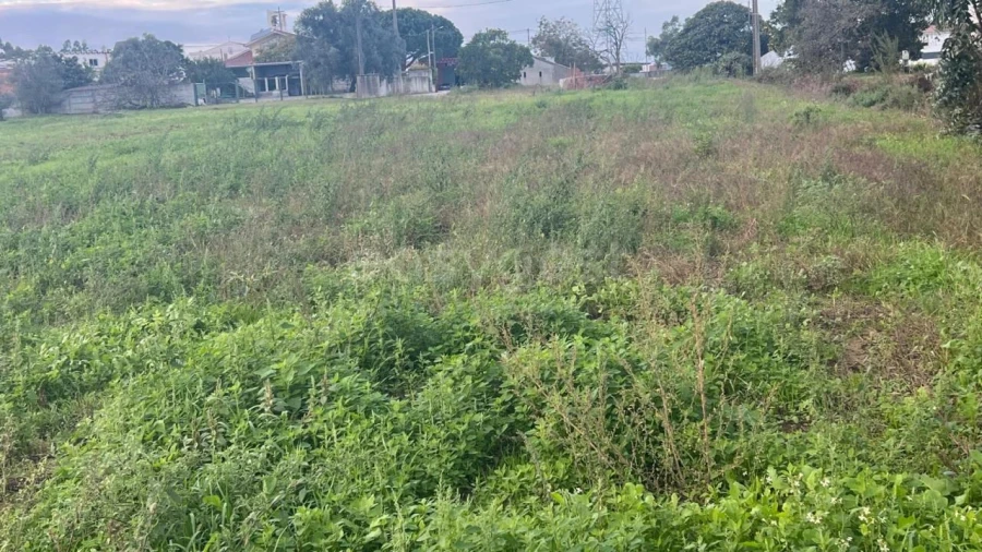 Terreno para Venda em Souto da Carpalhosa e Ortigosa Foto 2