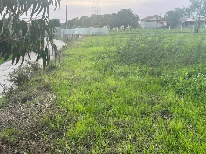 Terreno para Venda em Souto da Carpalhosa e Ortigosa Foto 3