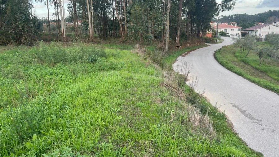 Terreno para Venda em Souto da Carpalhosa e Ortigosa Foto 7