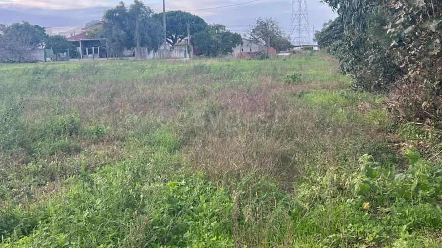 Terreno para Venda em Souto da Carpalhosa e Ortigosa Foto 8