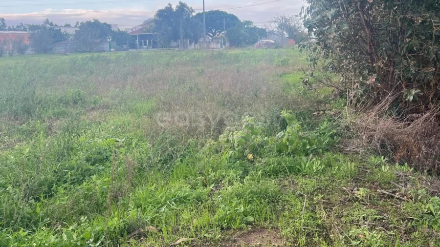 Terreno para Venda em Souto da Carpalhosa e Ortigosa Foto 9