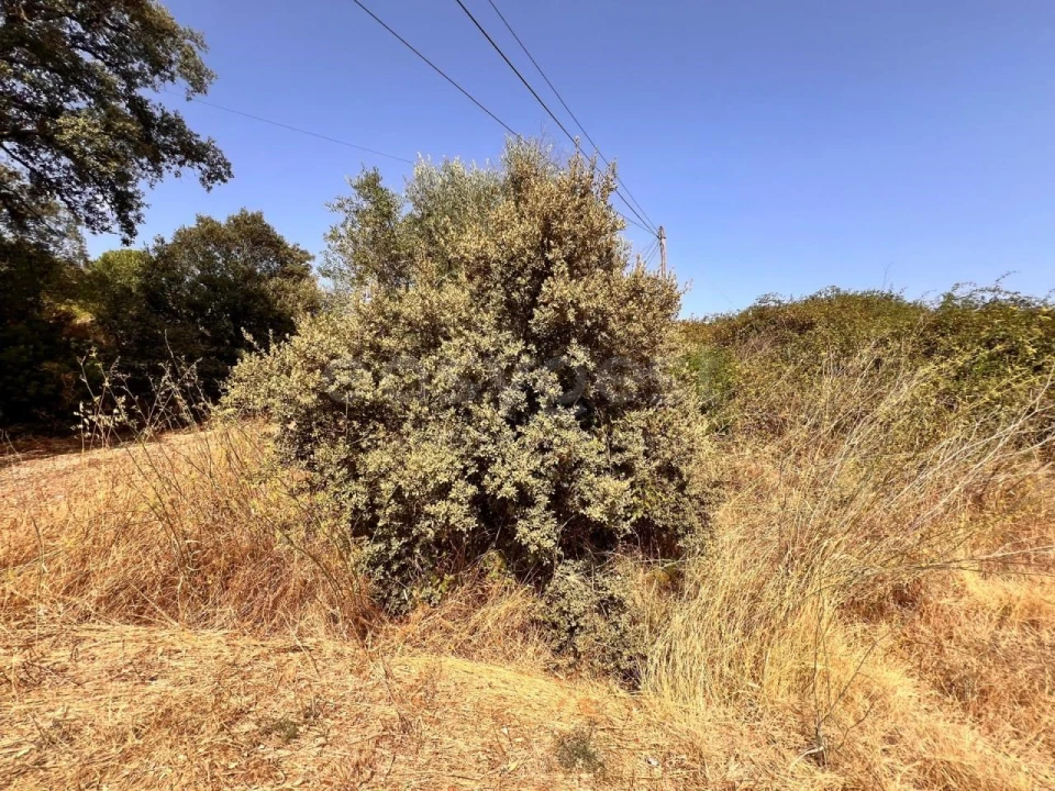 Terreno para Venda em Carregueiros Foto 2