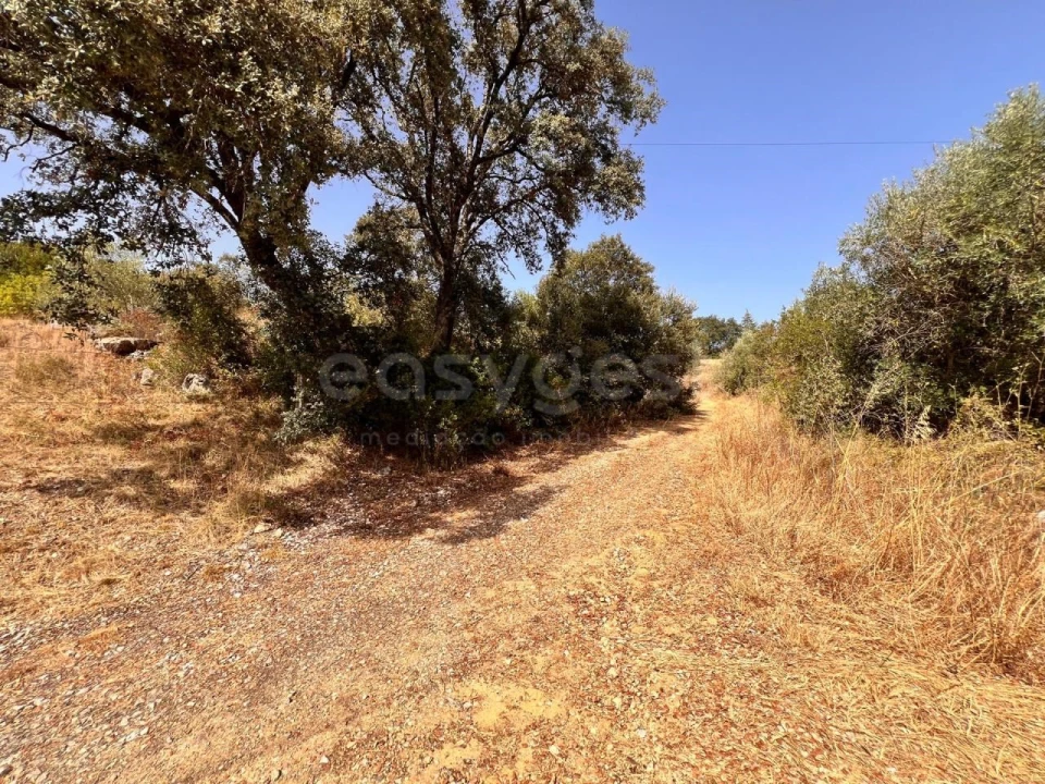 Terreno para Venda em Carregueiros Foto 6