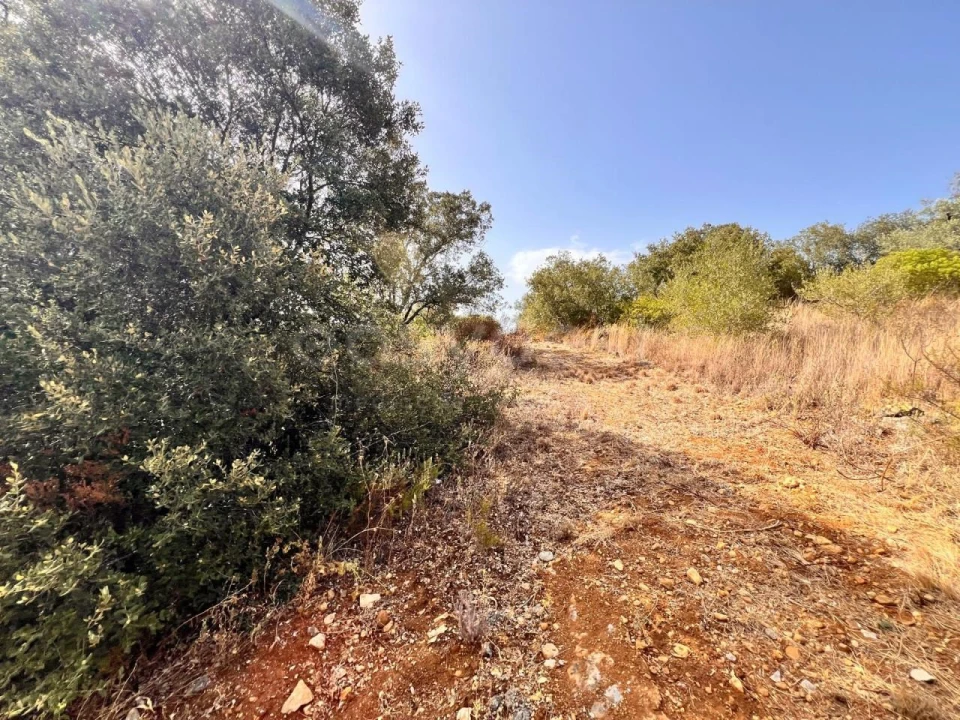 Terreno para Venda em Carregueiros Foto 11