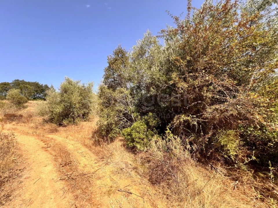 Terreno para Venda em Carregueiros Foto 12
