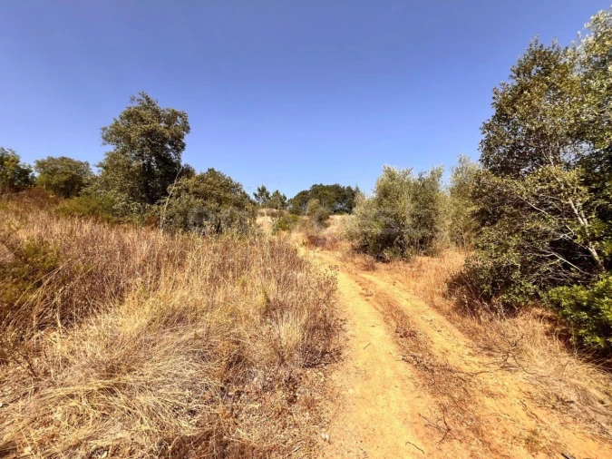 Terreno para Venda em Carregueiros Foto 8