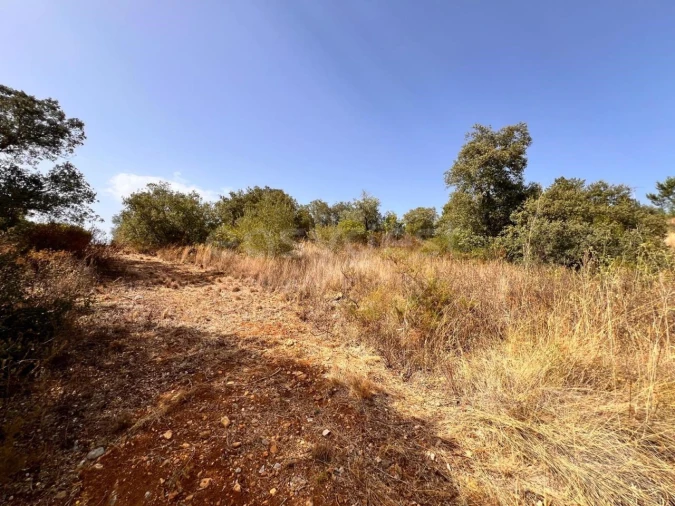 Terreno para Venda em Carregueiros Foto 10