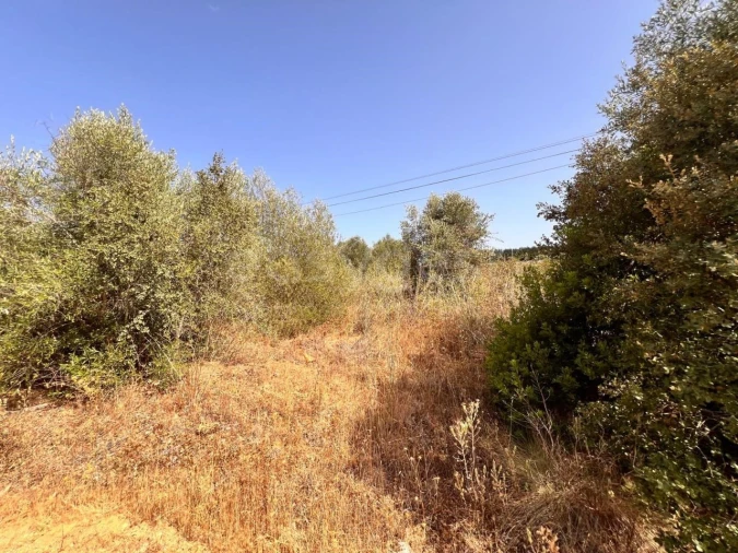 Terreno para Venda em Carregueiros Foto 15