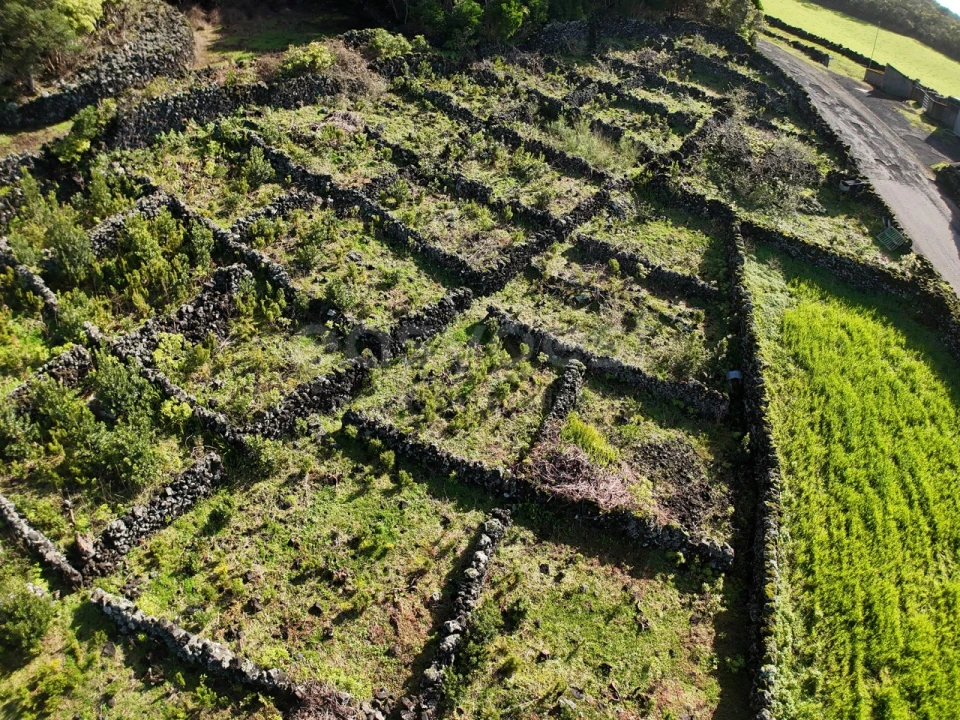 Terreno para Venda em Candelaria Foto 4