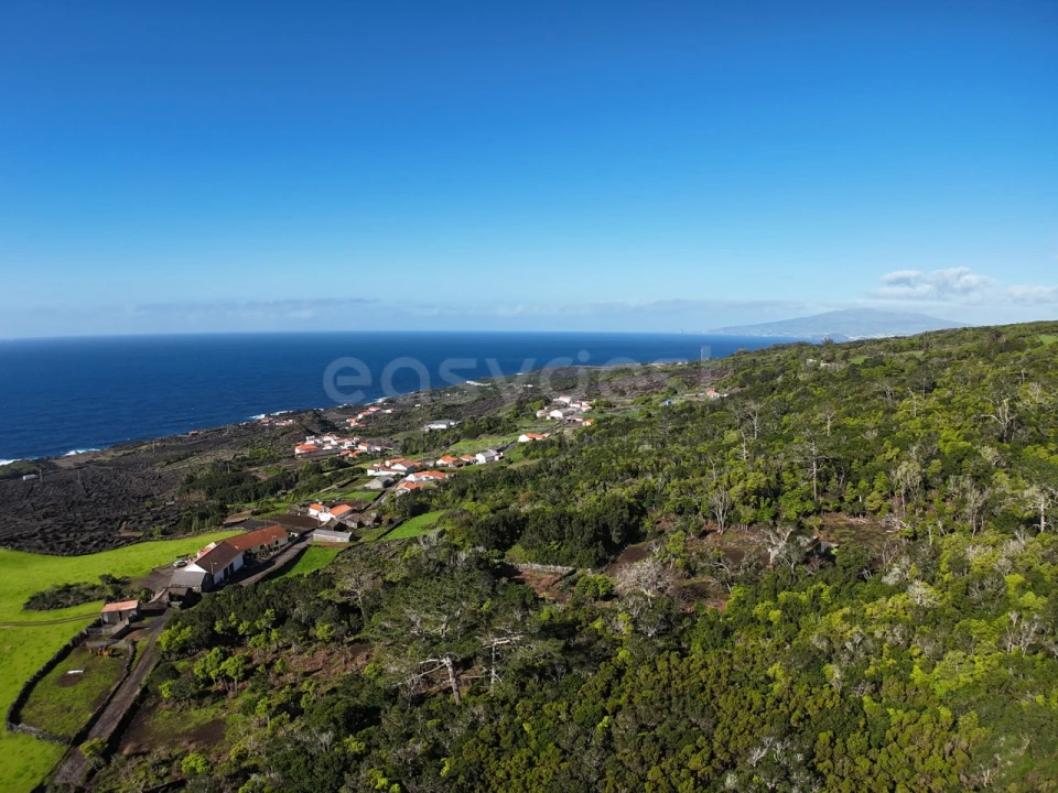 Terreno para Venda em Candelaria Foto 6