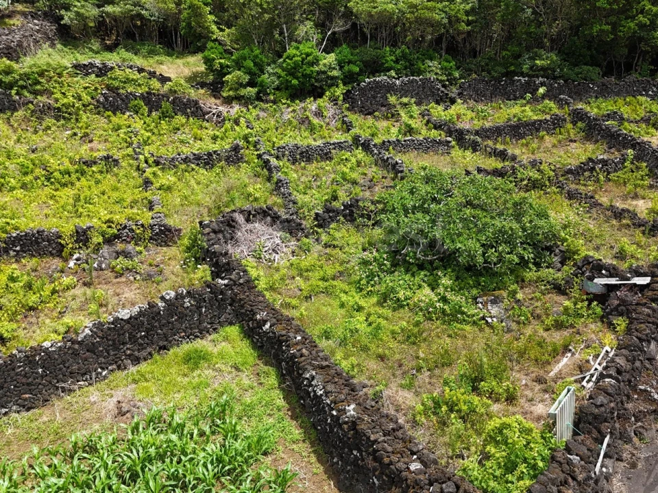 Terreno para Venda em Candelaria Foto 7