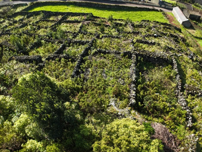 Terreno para Venda em Candelaria Foto 5
