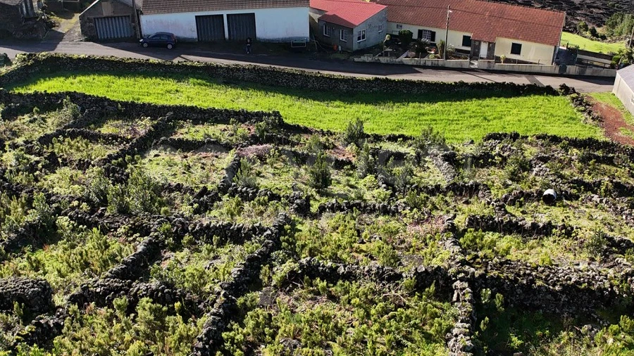 Terreno para Venda em Candelaria