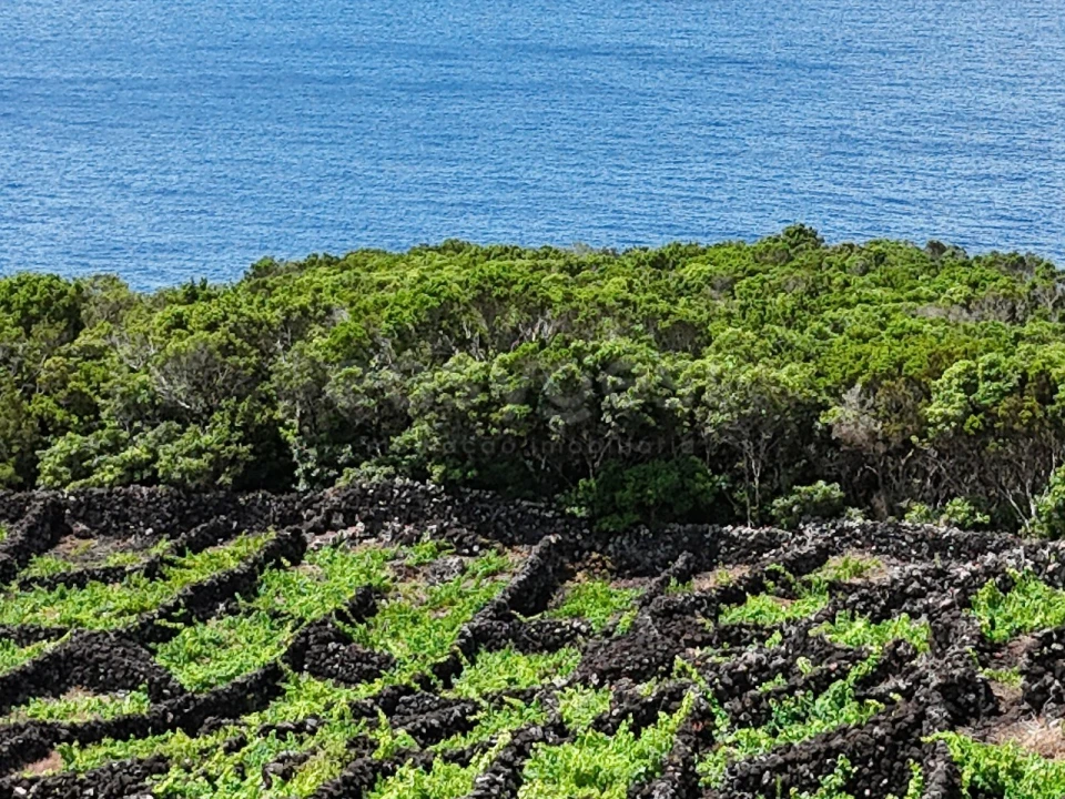 Terreno para Venda em São Mateus Foto 3