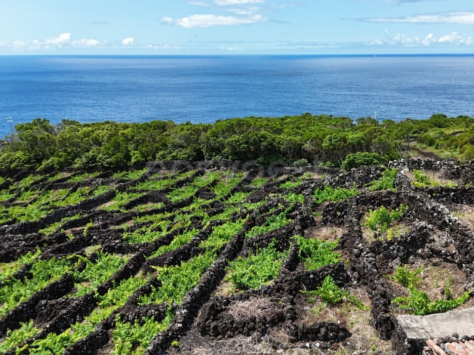 Terreno para Venda em São Mateus Foto 9