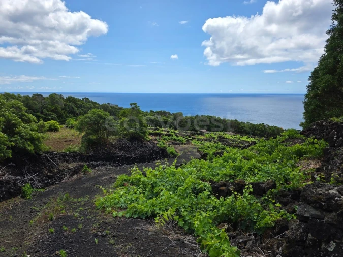 Terreno para Venda em São Mateus Foto 2