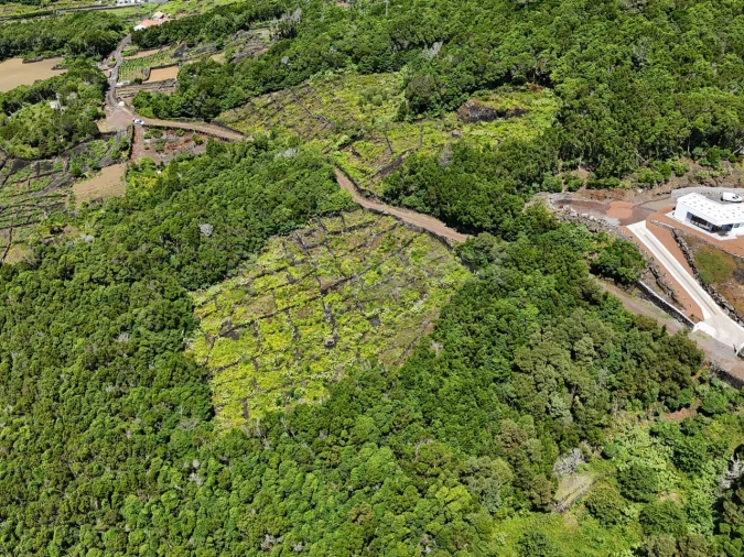 Terreno para Venda em São Mateus Foto 7