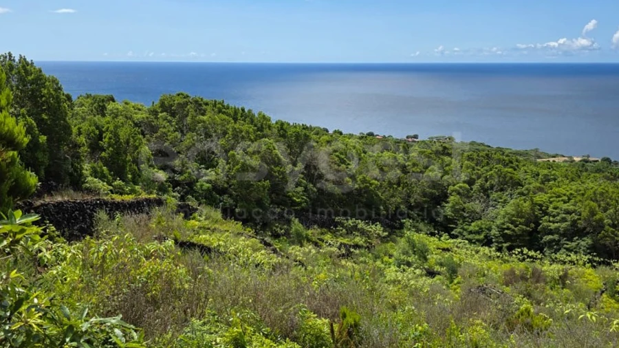 Terreno para Venda em São Mateus