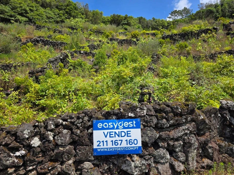 Terreno para Venda em São Mateus Foto 11