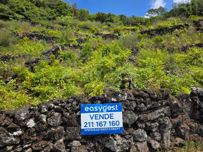 Terreno para Venda em São Mateus Foto 11