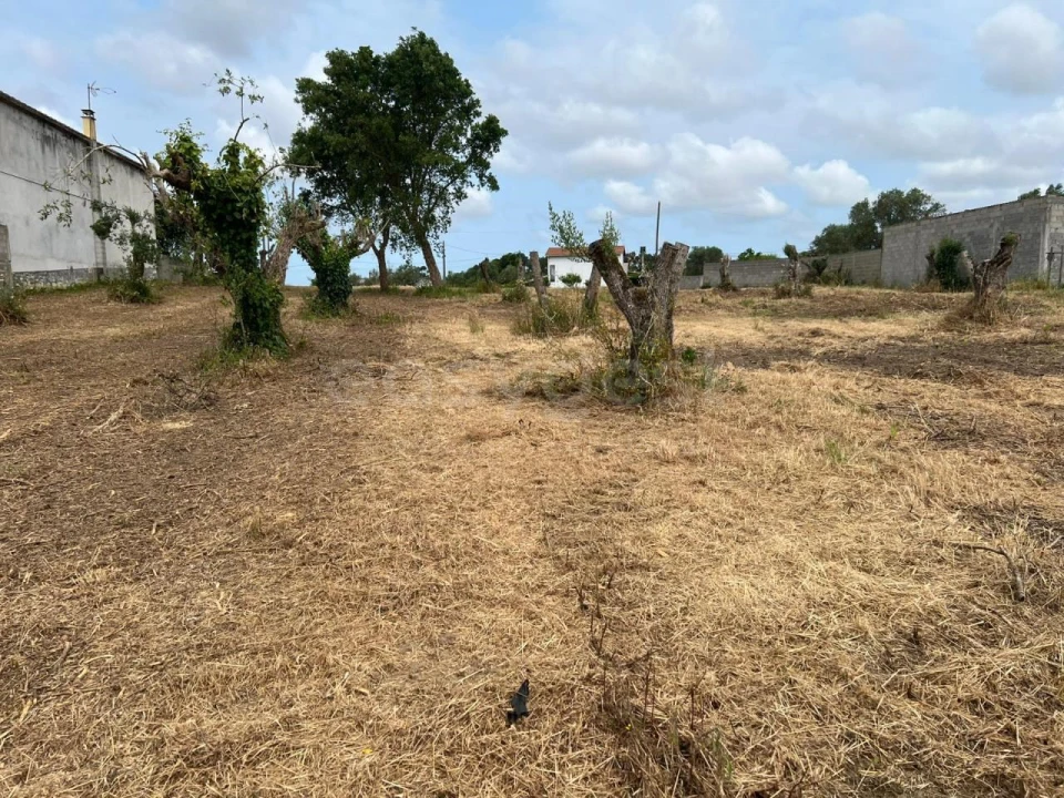 Terreno para Venda em Souto da Carpalhosa e Ortigosa Foto 4