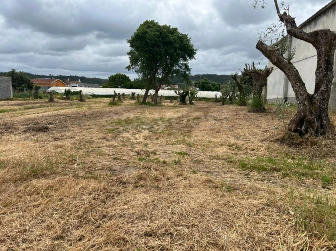 Terreno para Venda em Souto da Carpalhosa e Ortigosa Foto 3