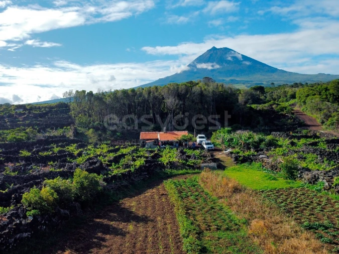 Terreno para Venda em Bandeiras