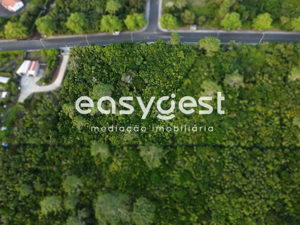 Terreno para Venda em Santo Antonio Foto 3