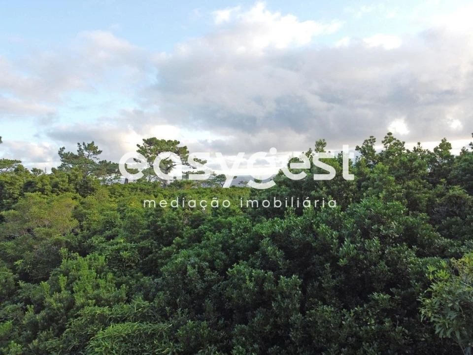 Terreno para Venda em Santo Antonio Foto 6