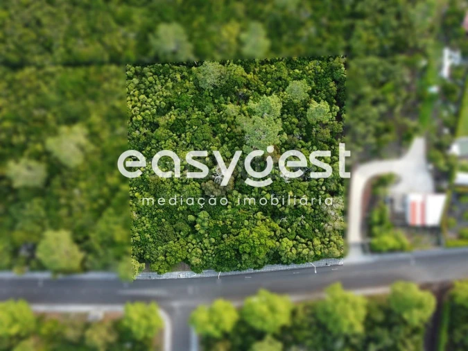 Terreno para Venda em Santo Antonio Foto 4