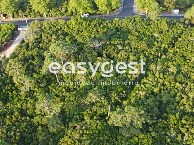 Terreno para Venda em Santo Antonio Foto 9