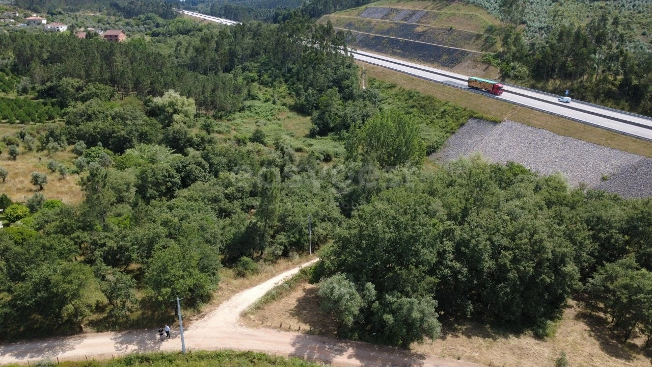 Terreno para Venda em São Miguel, Santa Eufémia e Rabaçal Foto 8