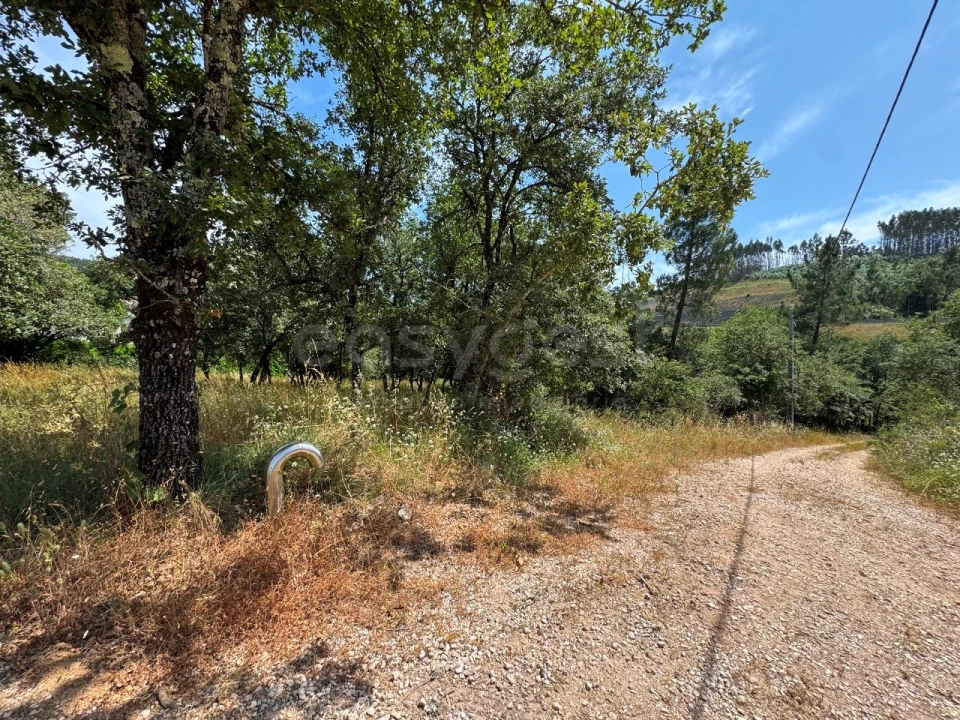 Terreno para Venda em São Miguel, Santa Eufémia e Rabaçal Foto 17
