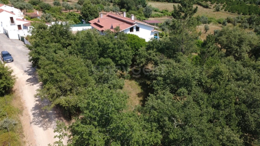 Terreno para Venda em São Miguel, Santa Eufémia e Rabaçal Foto 1