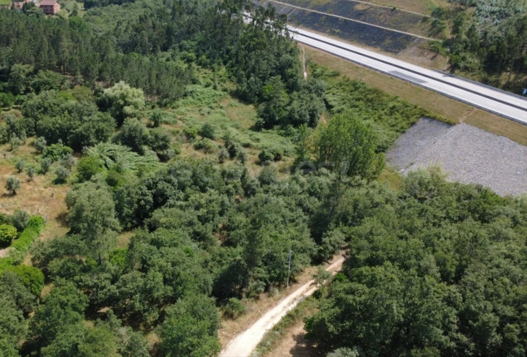 Terreno para Venda em São Miguel, Santa Eufémia e Rabaçal Foto 5