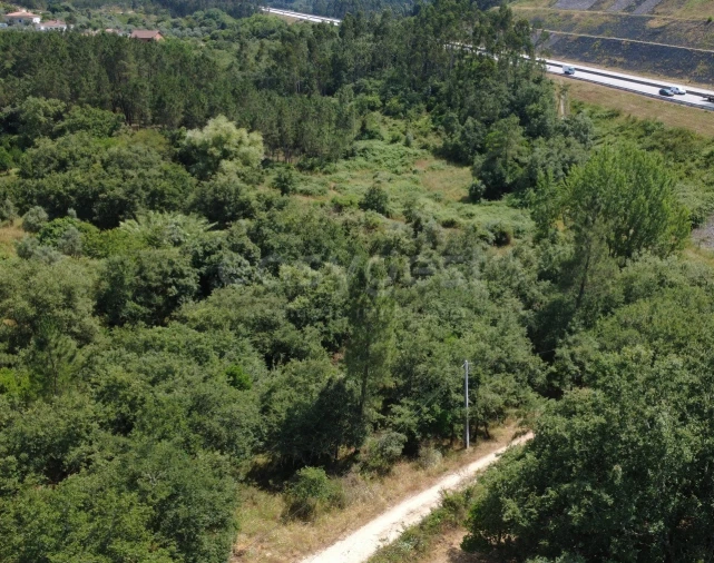 Terreno para Venda em São Miguel, Santa Eufémia e Rabaçal Foto 10