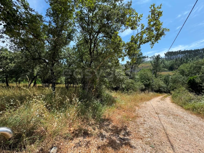 Terreno para Venda em São Miguel, Santa Eufémia e Rabaçal Foto 16