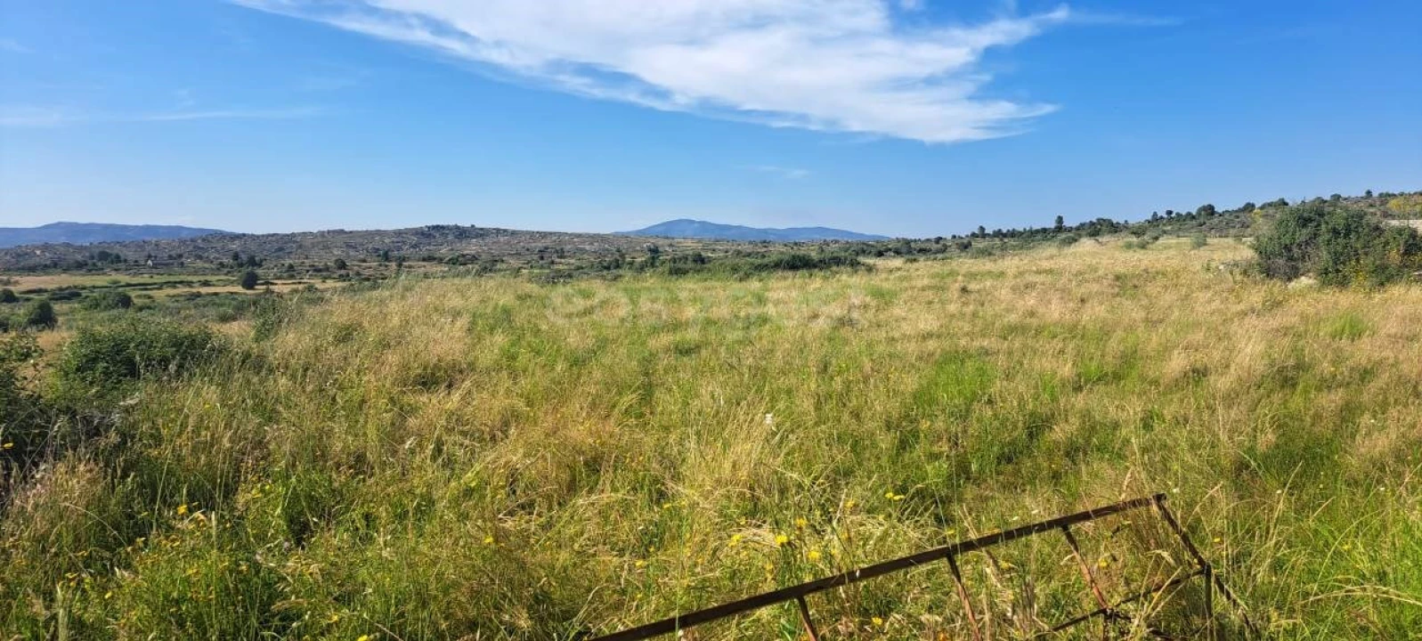 Terreno para Venda em Adeganha e Cardanha Foto 4
