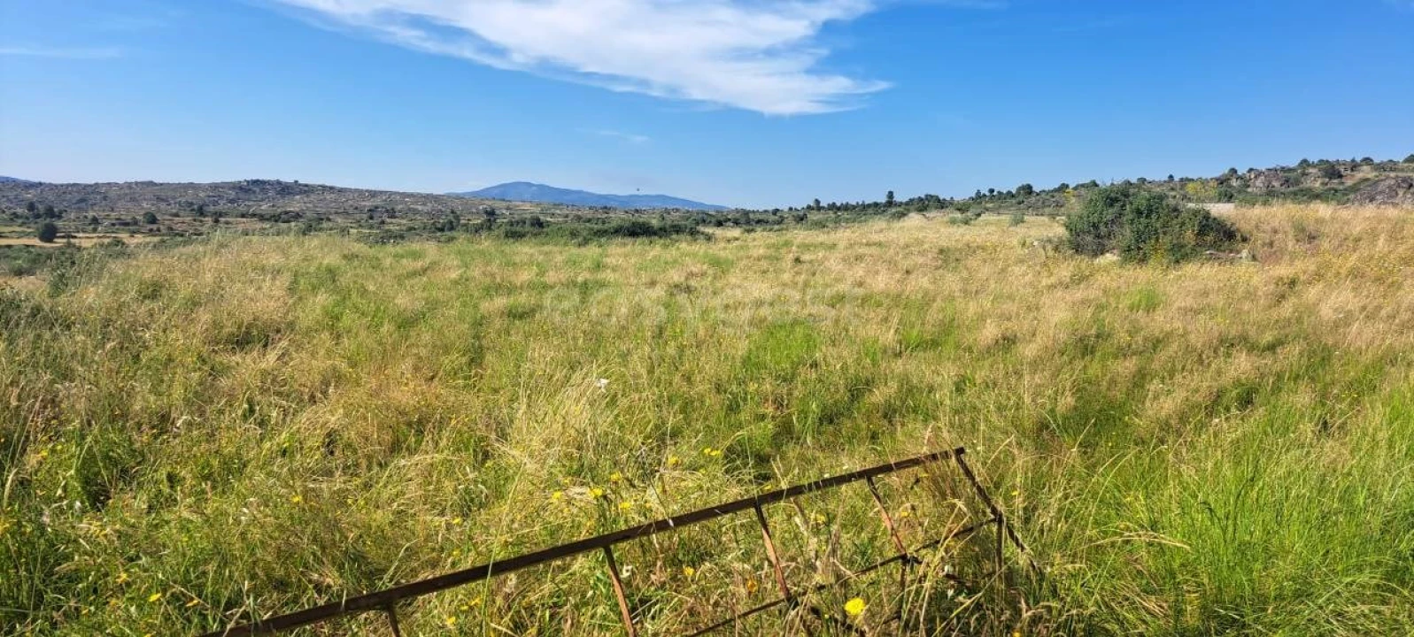 Terreno para Venda em Adeganha e Cardanha Foto 10