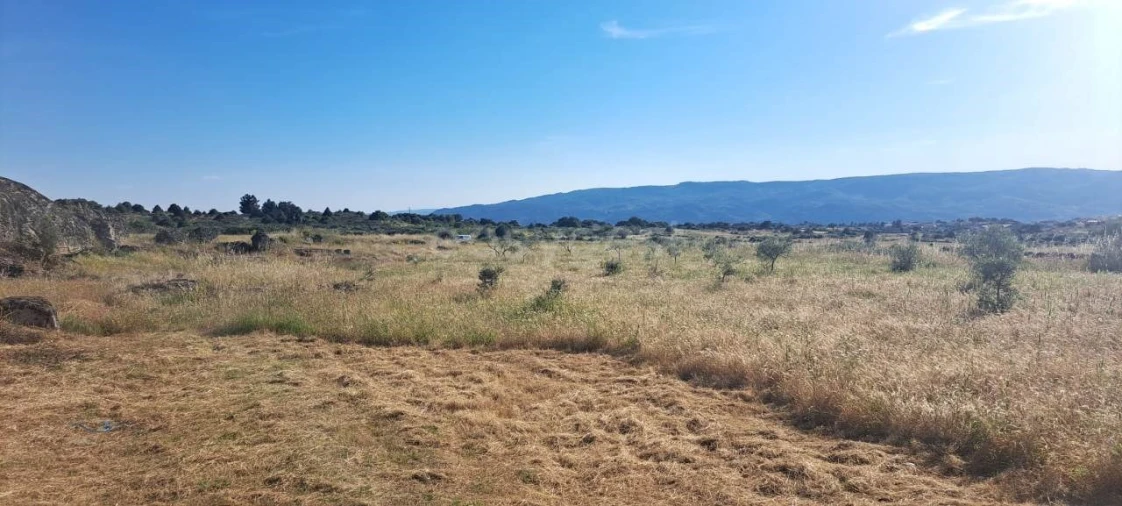 Terreno para Venda em Adeganha e Cardanha Foto 3