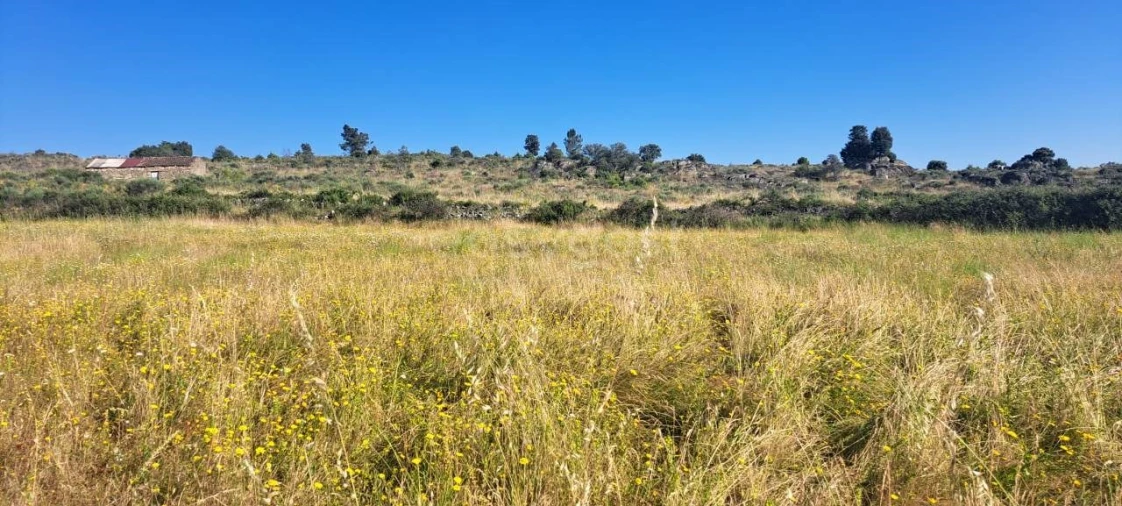 Terreno para Venda em Adeganha e Cardanha Foto 12