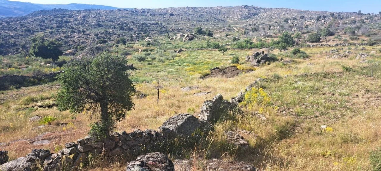Terreno para Venda em Adeganha e Cardanha Foto 7